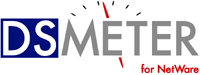 DSMETER